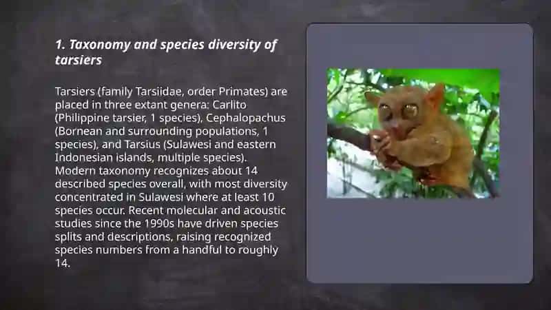 About tarsiers 3