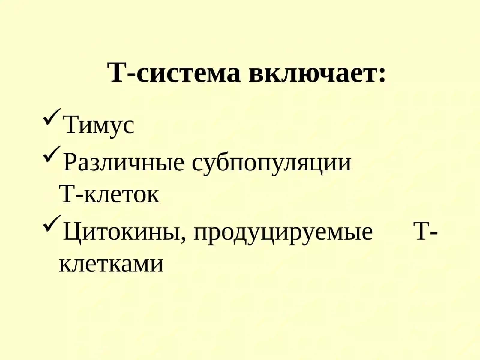 Т-лимфоциты 3