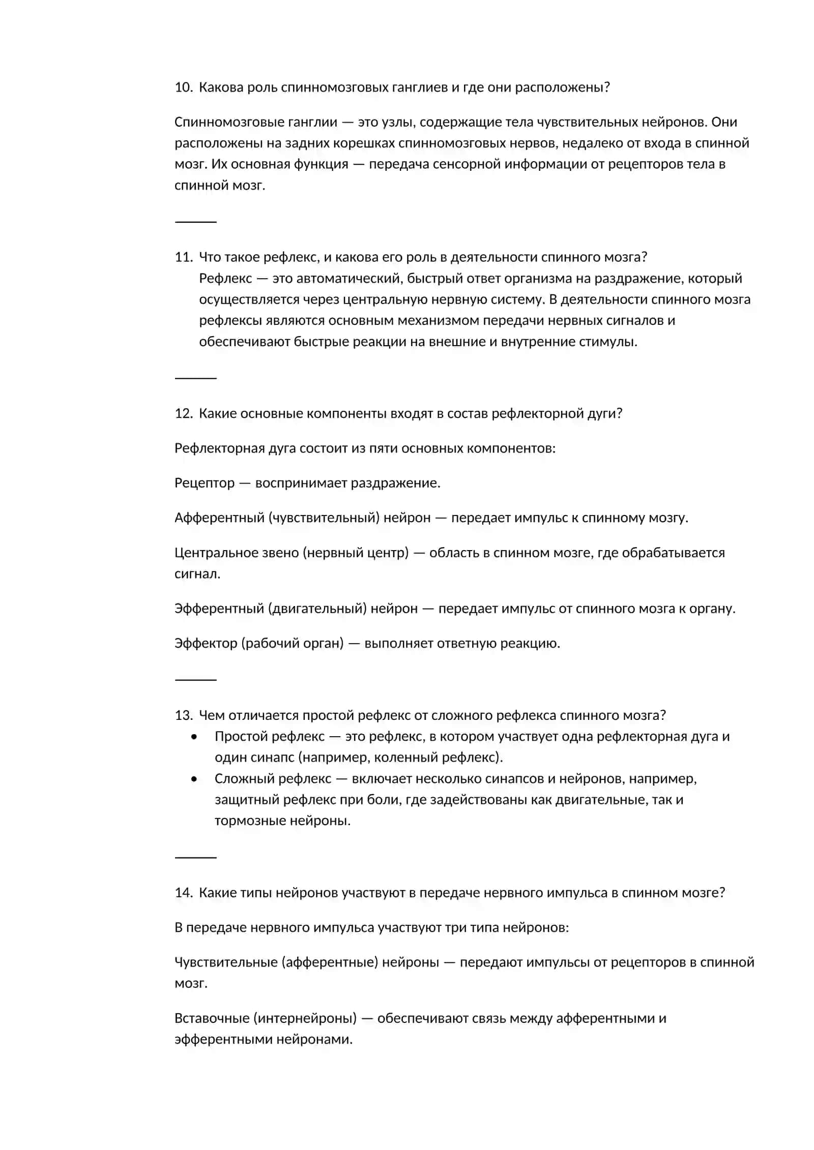 Спинной мозг 3