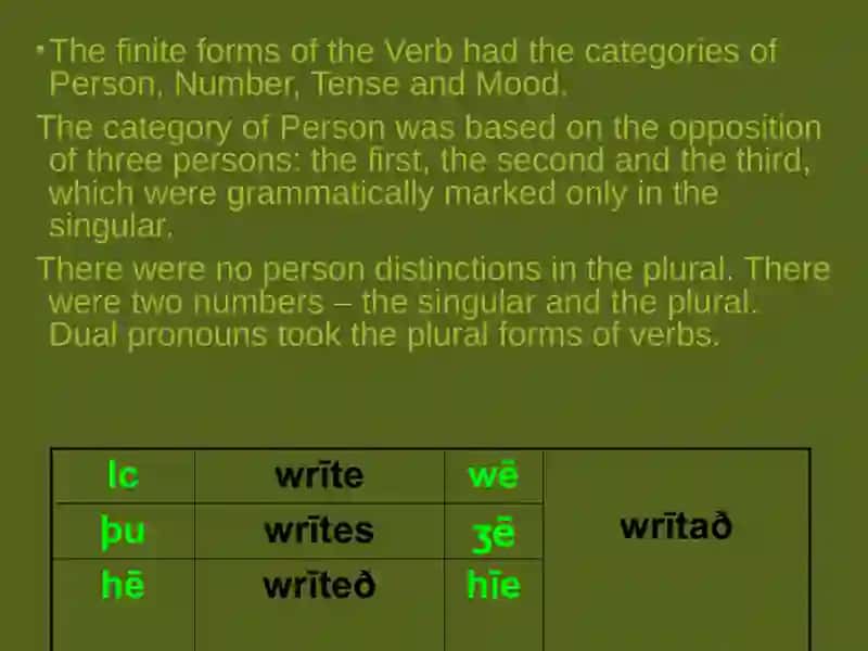 Verb word category and its grammatical categories 3