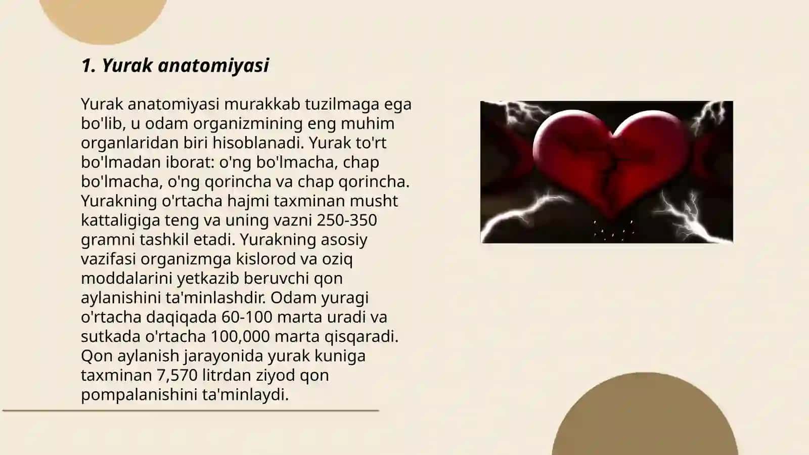 Yurak 3