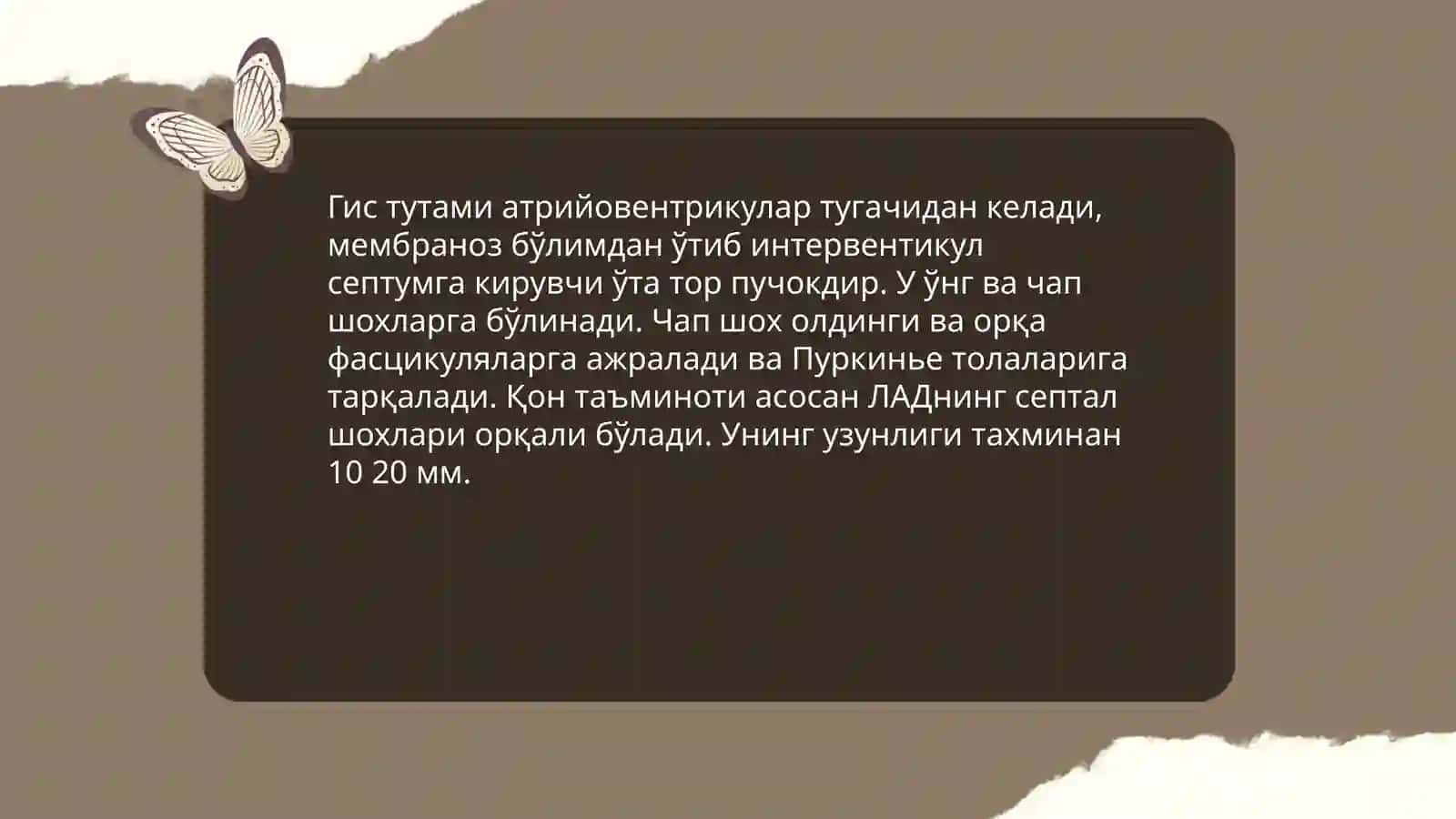 Гис тутами 3