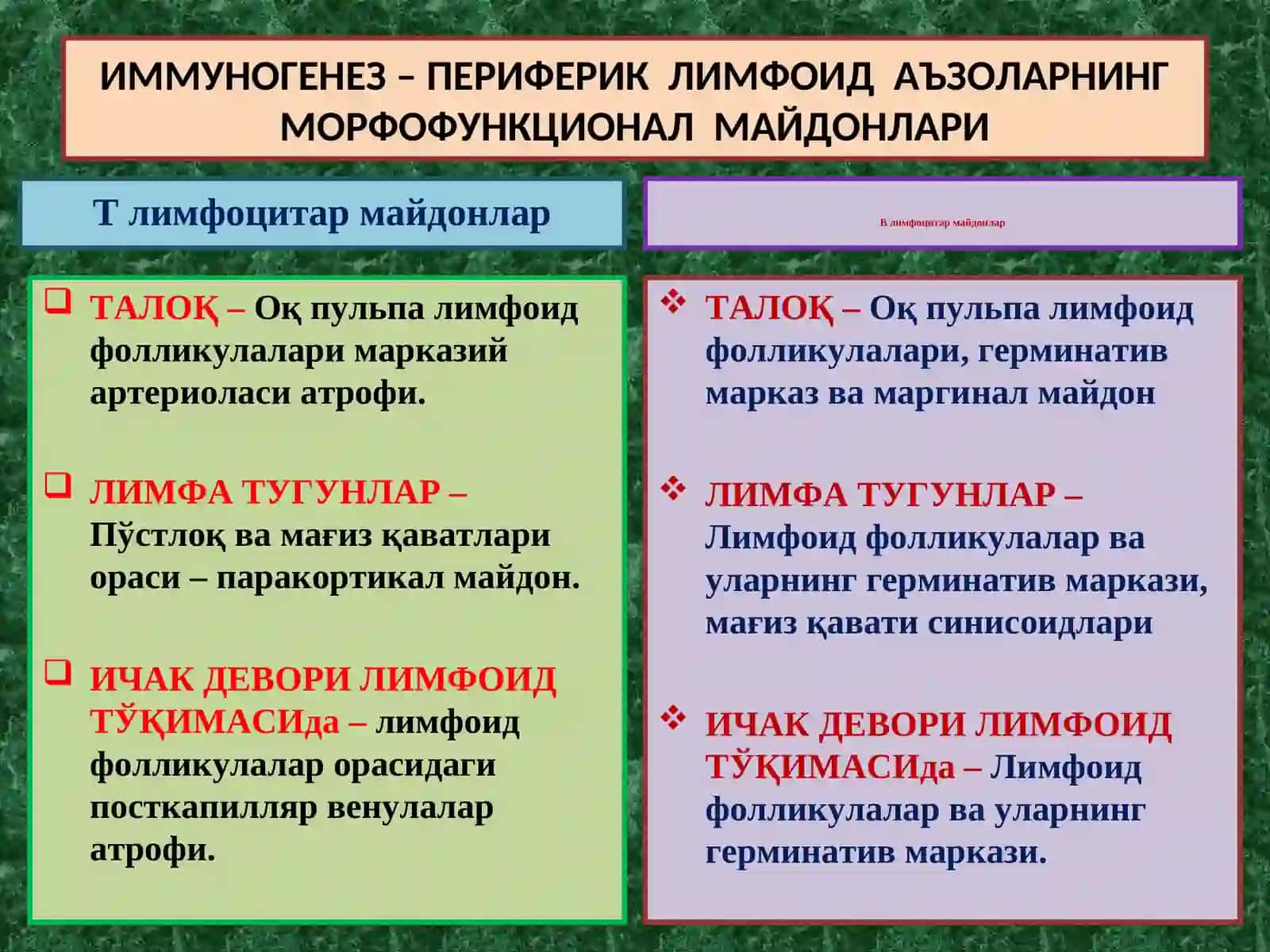ПАТОЛОГИК АНАТОМИЯ 3