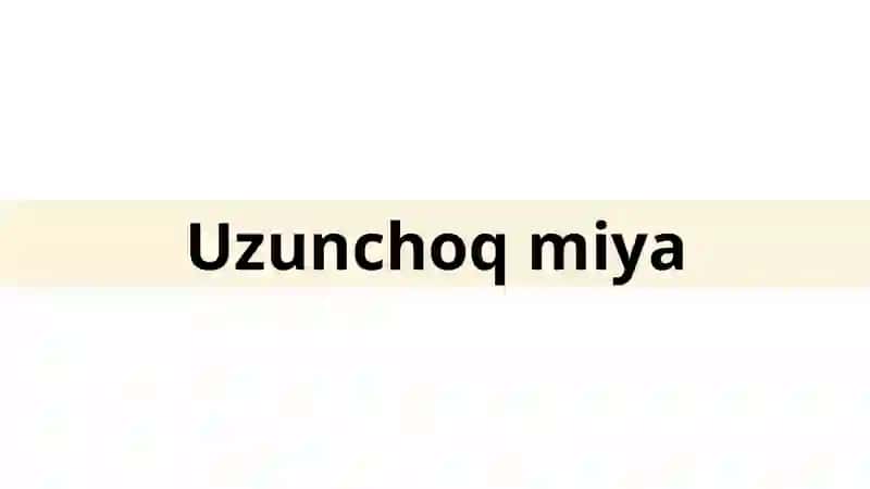 Uzunchoq miya 3