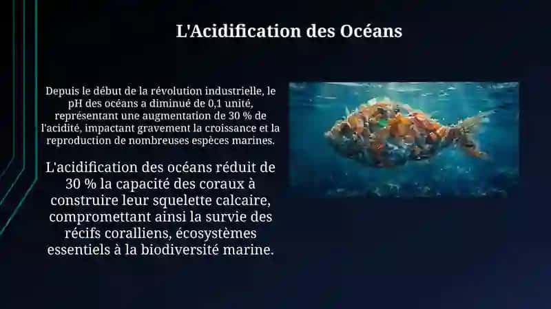 L'Acidification des Océans 3