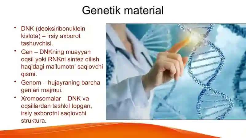 Umumiy genetik asoslari 3