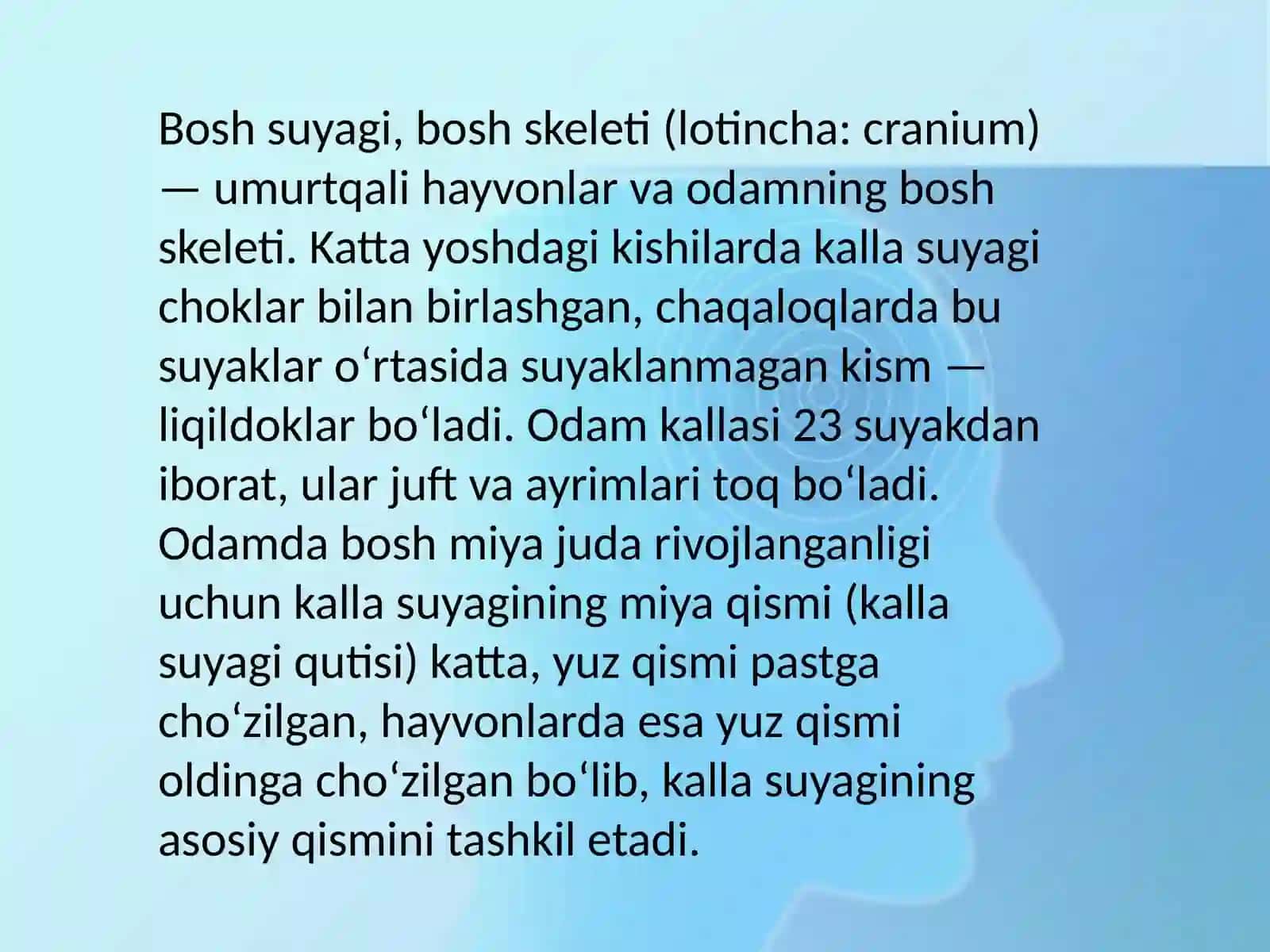 ODAM ANATOMIYASI 3