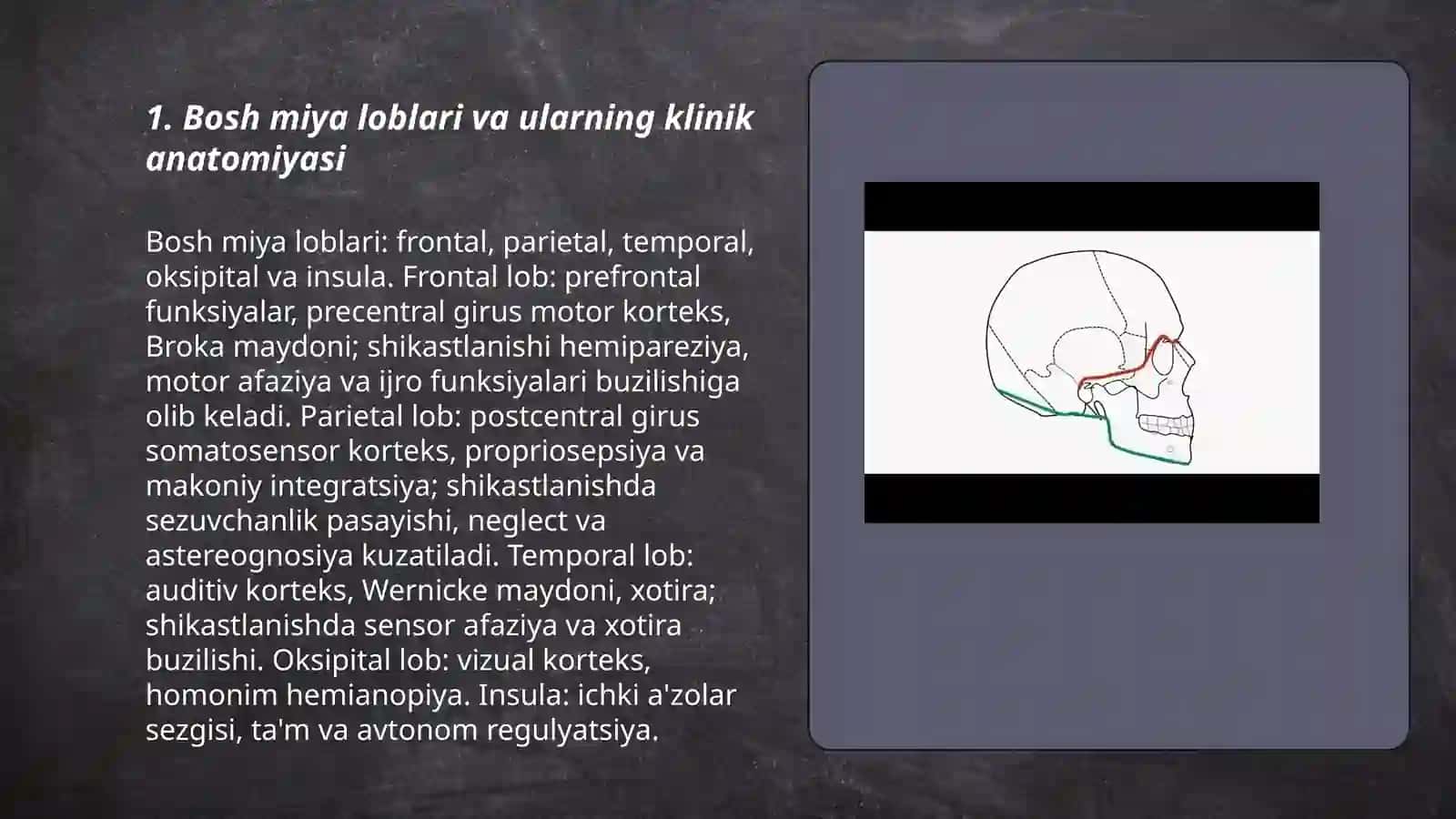 Bosh sohasining klinik anatomiyasi 3