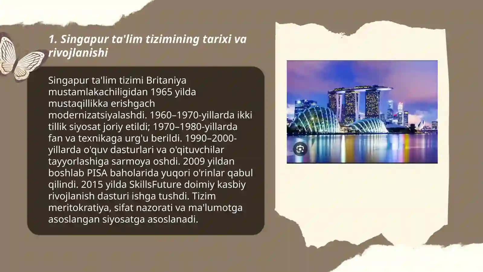 Singapur talim tizimi 3