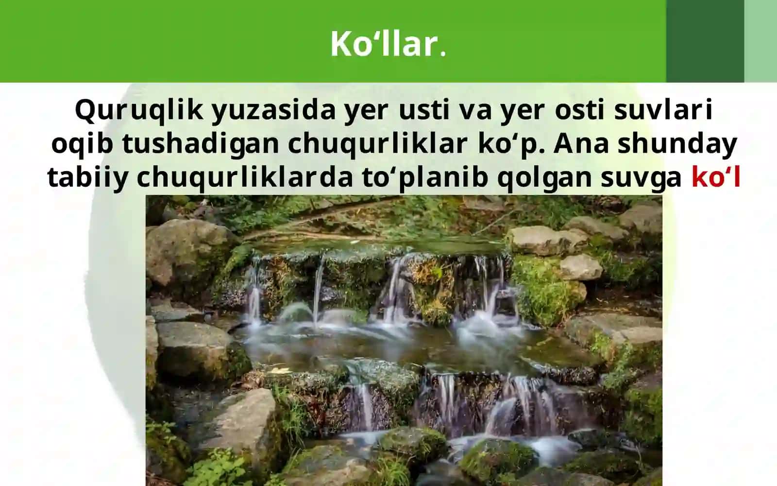 Ko’lvamuzliklar 3