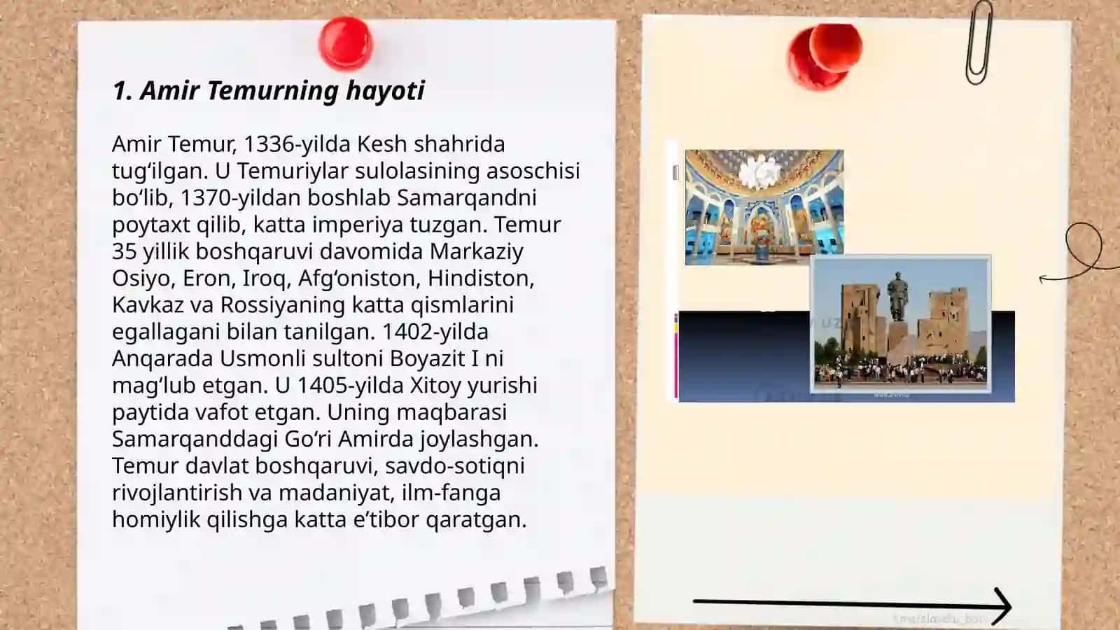 TEMUR TUZUKLARI 3