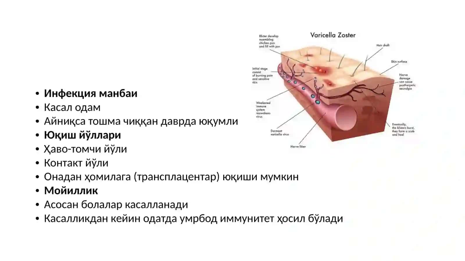 Сувчечак 3