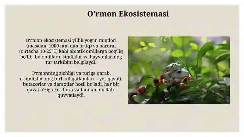 Turli Ekosistemlardagi O'simliklar va Hayvonlarning Yashash Sharoitlari 3