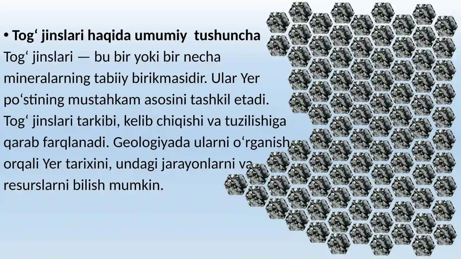 TOG’ JINSLARI VA MINERALLAR BILAN TANISHISH MAQSADIDA GEOLOGIYA MUZEYIGA TASHRIF 3