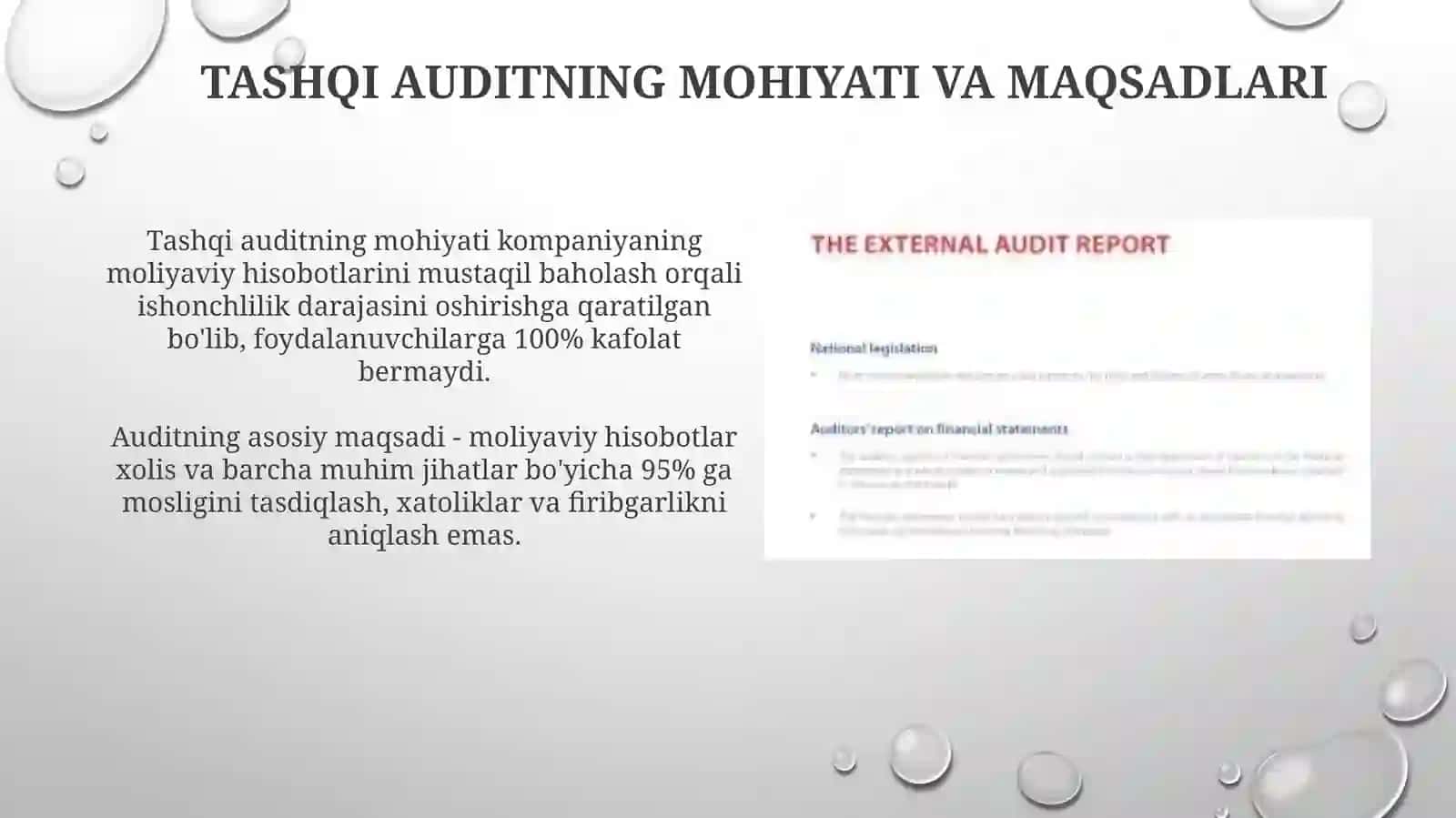 Tashqi audit 3