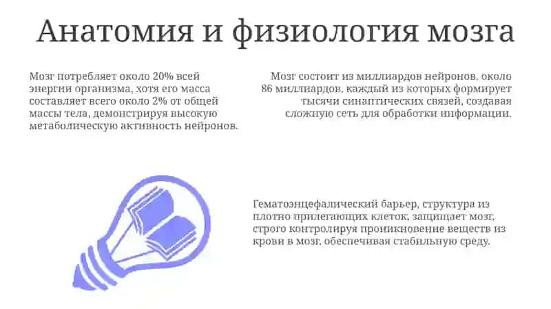 Головноймозг 3