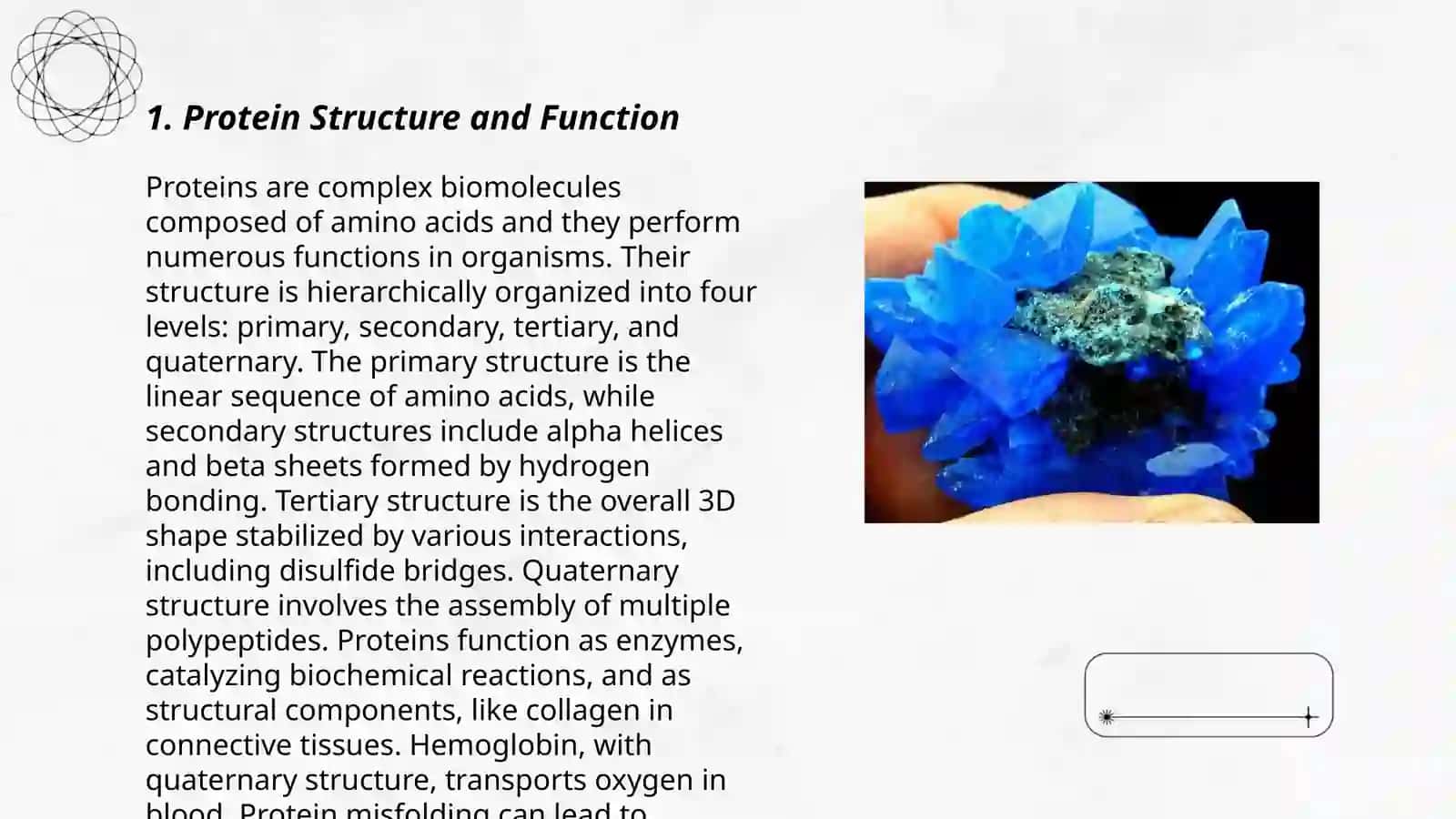 Protein Structure and Function 3