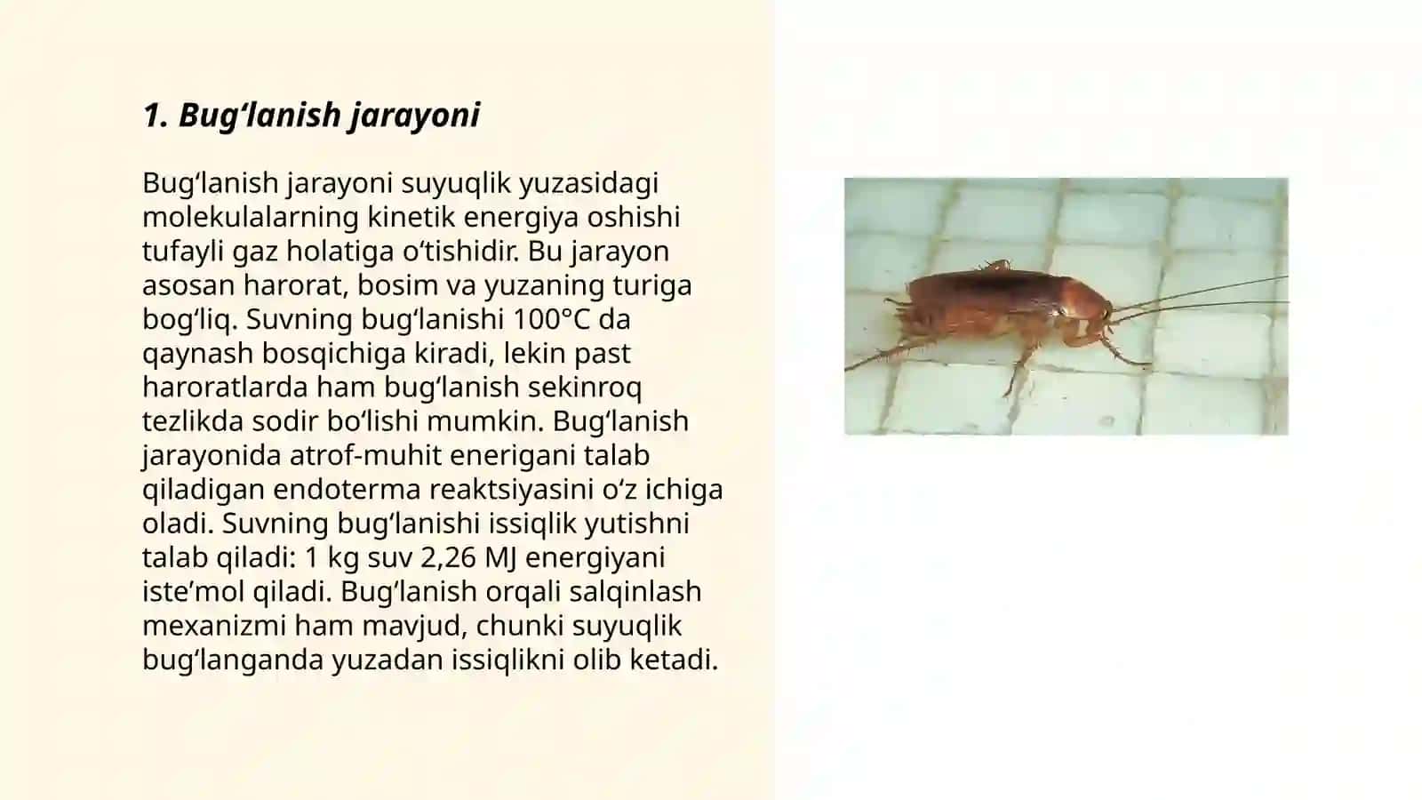 Bugʻlanish va Kondensatsiya 3