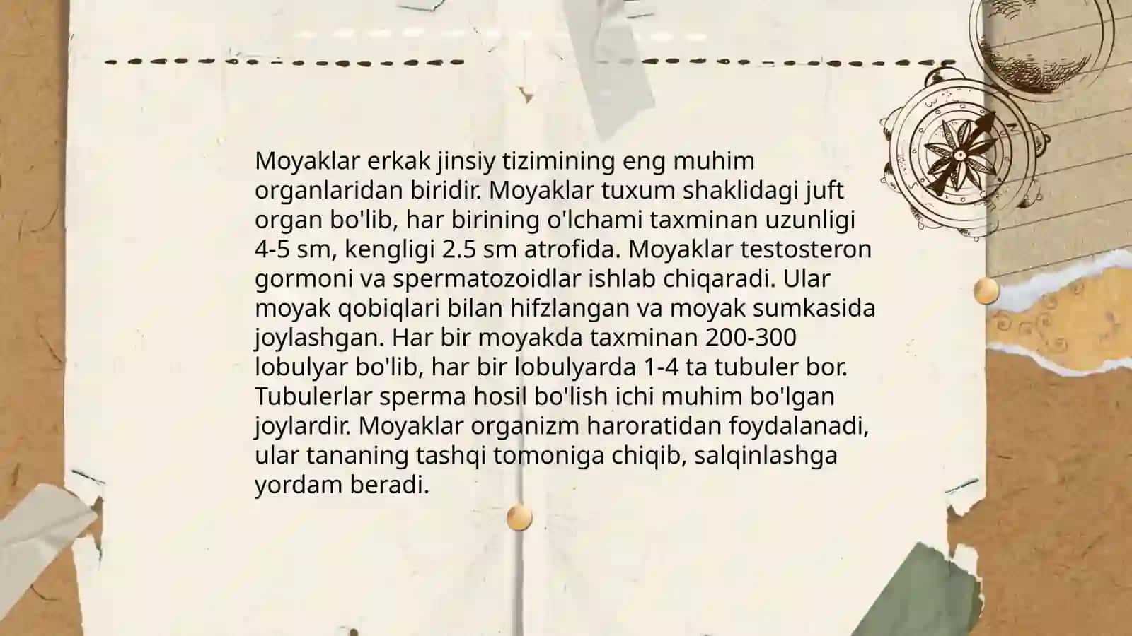 Moyaklar raki 3