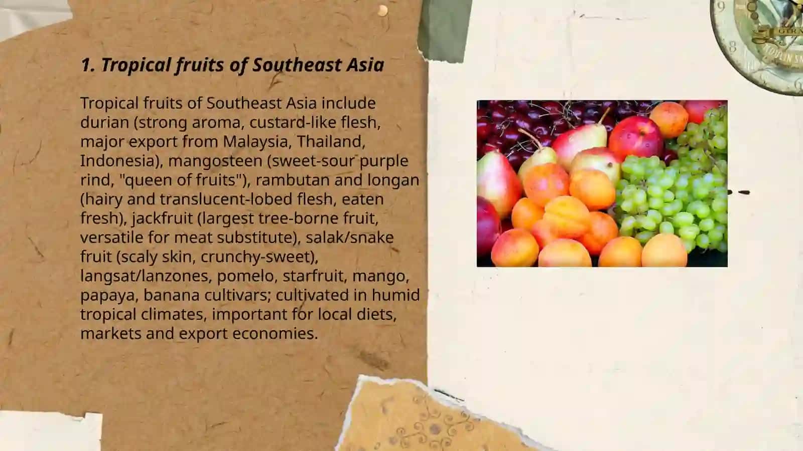 Frutis around the world 3