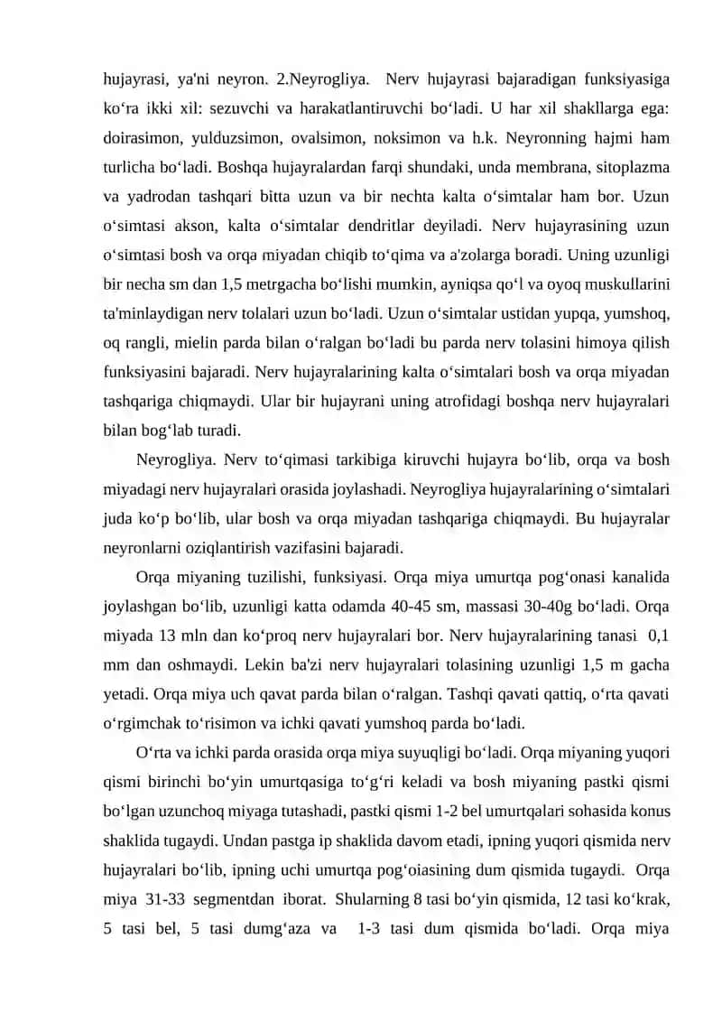 Orqa miyaning tuzilishi 3