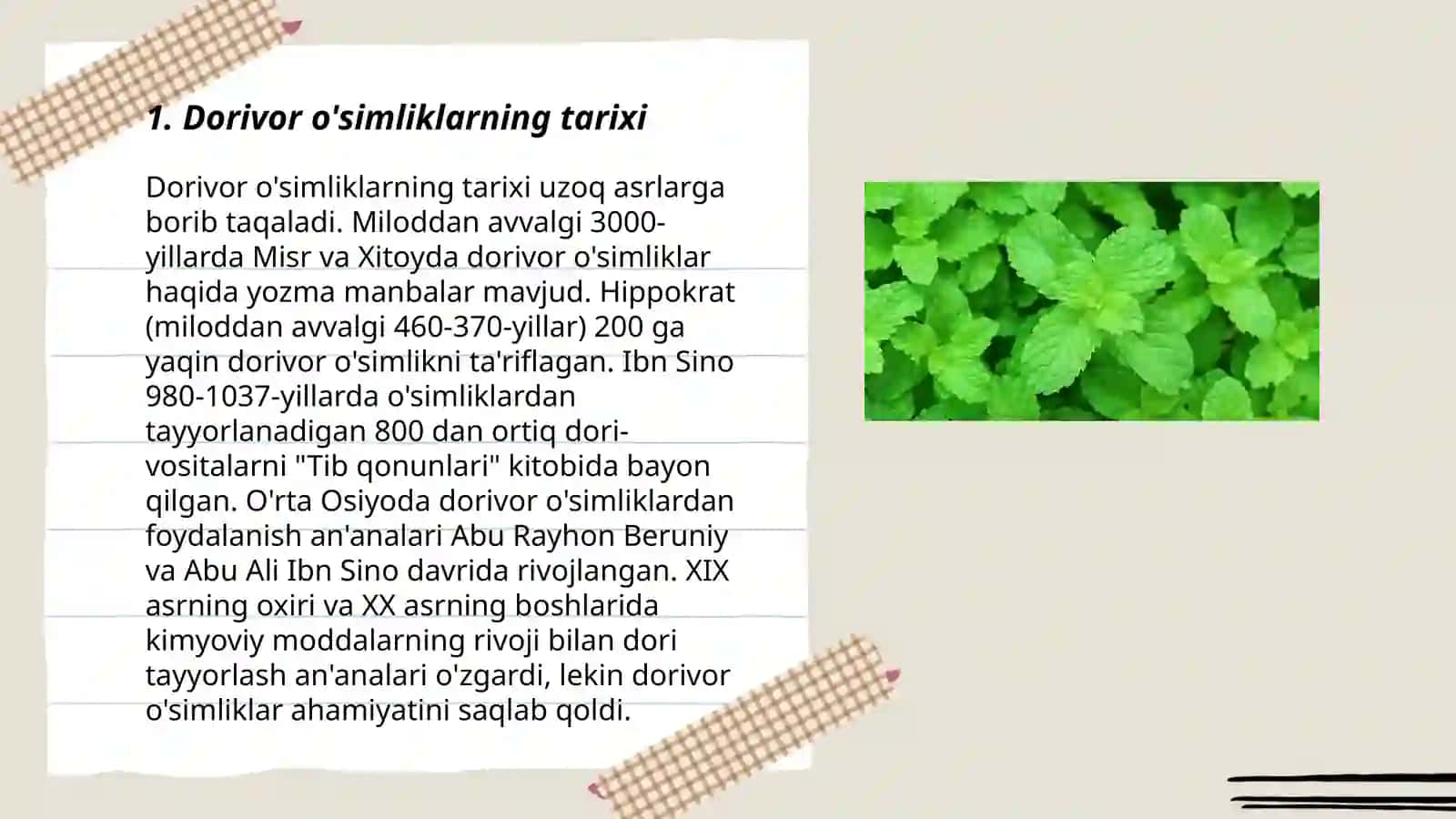 Dorivor o'simliklarning tarixi 3