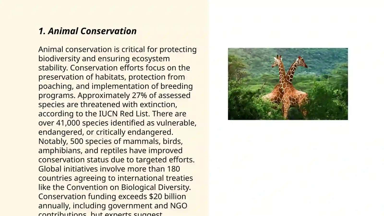 Animal Conservation 3