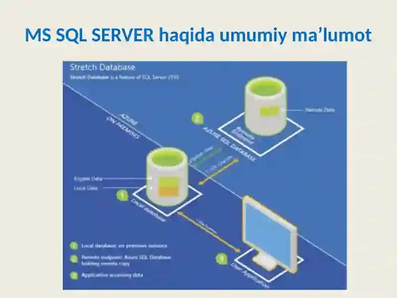 MS SQL SERVER 3