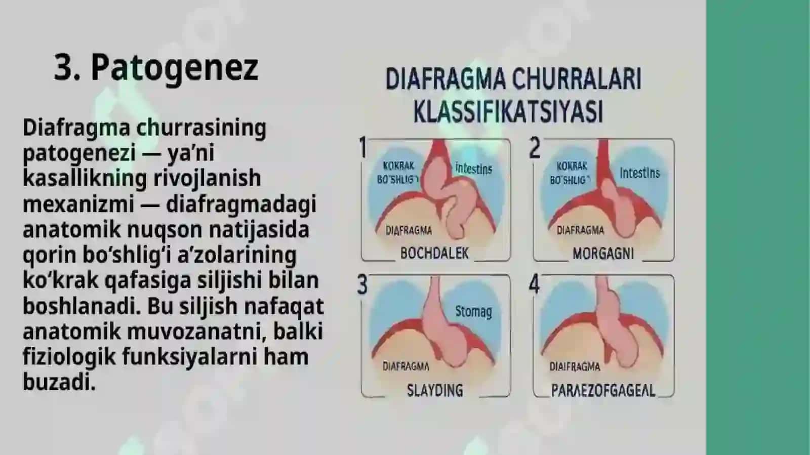 ichki churralar 3