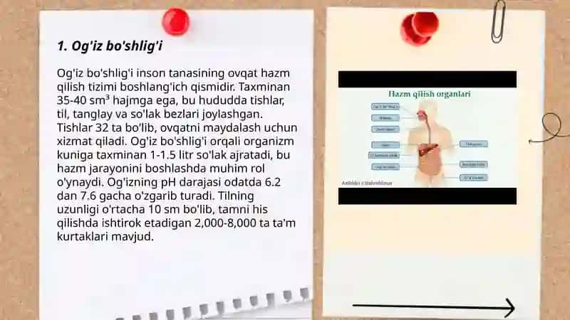 Og'iz bo'shlig'i 3