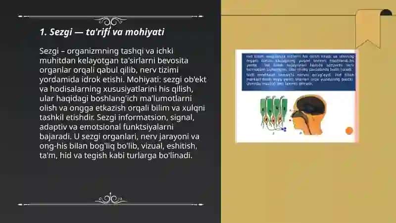 Sezgi 3
