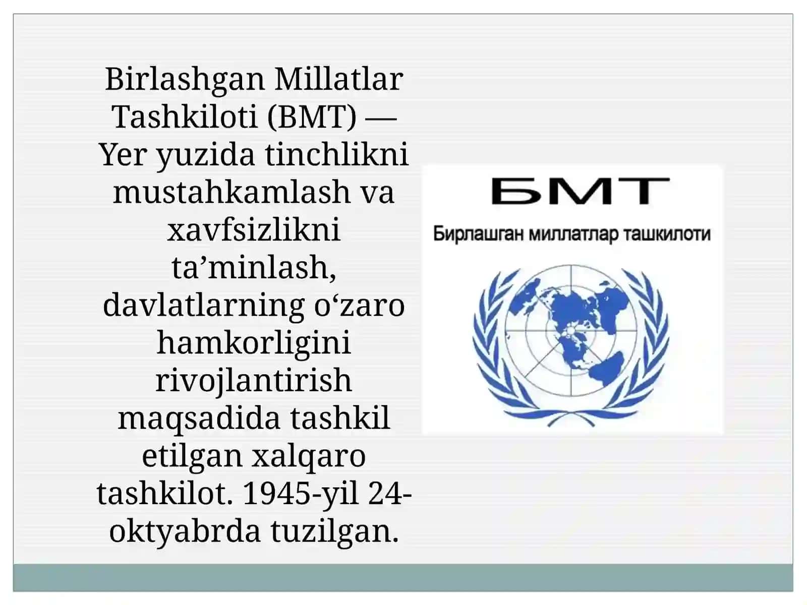 Birlashgan Millatlar Tashkiloti 3