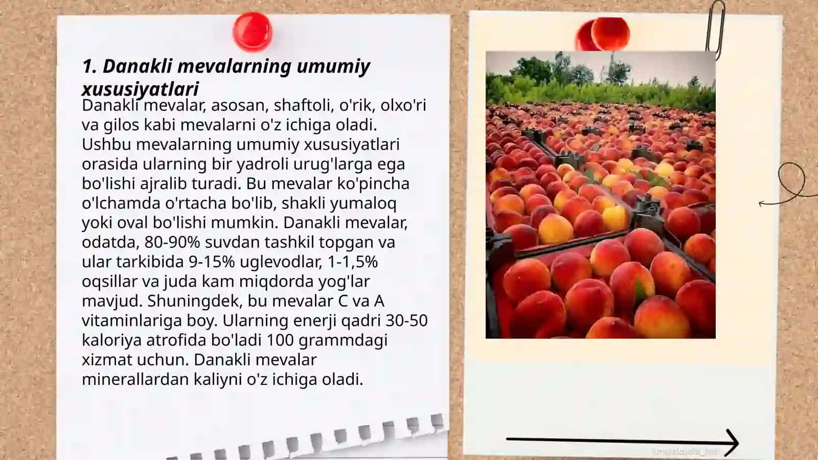 Danakli mevalar 3