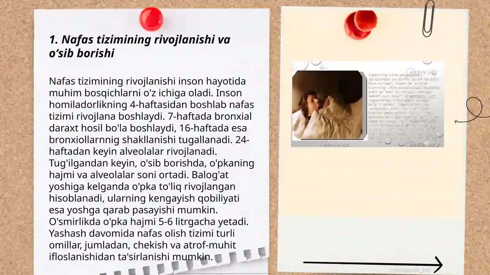 Nafas tizimining yoshga oid fiziologiyasi va gigiyenasi. Oʻpkaning tiriklik sigʻimini aniqlash 3