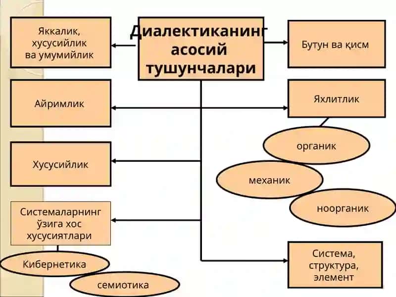 ЎЗАРО АЛОҚАДОРЛИК ВА РИВОЖЛАНИШ ҚОНУНЛАРИ 3