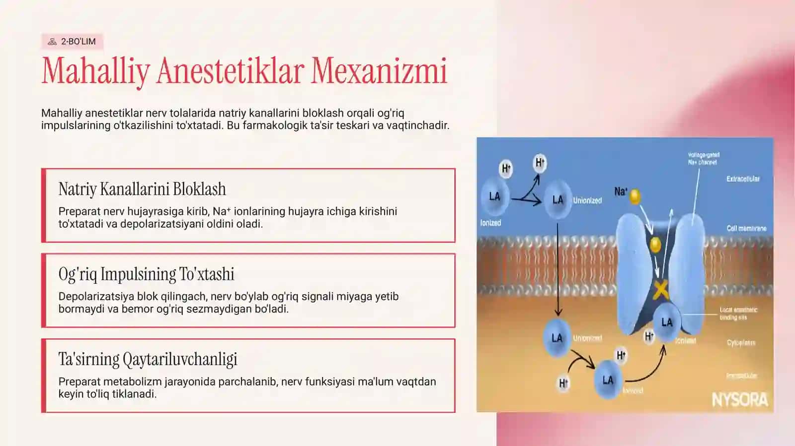 Anesteziya Asoslari 3