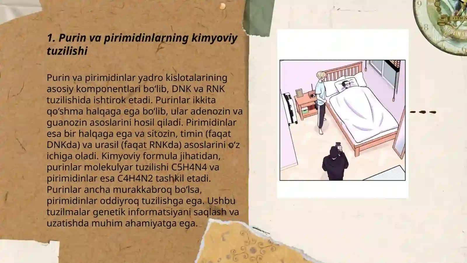 Purin va Perimedin asoslari 3