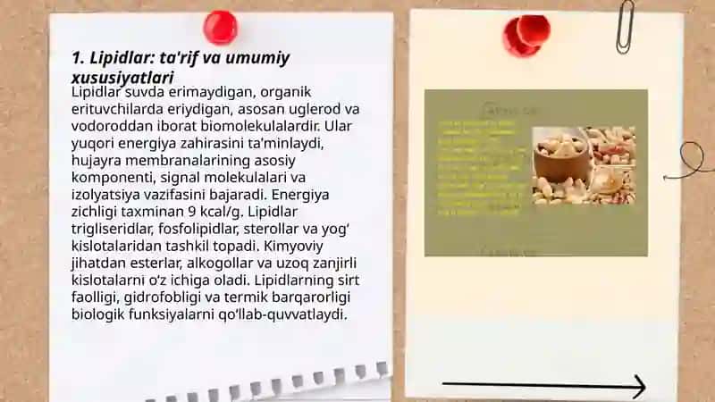 Lipidlar 3