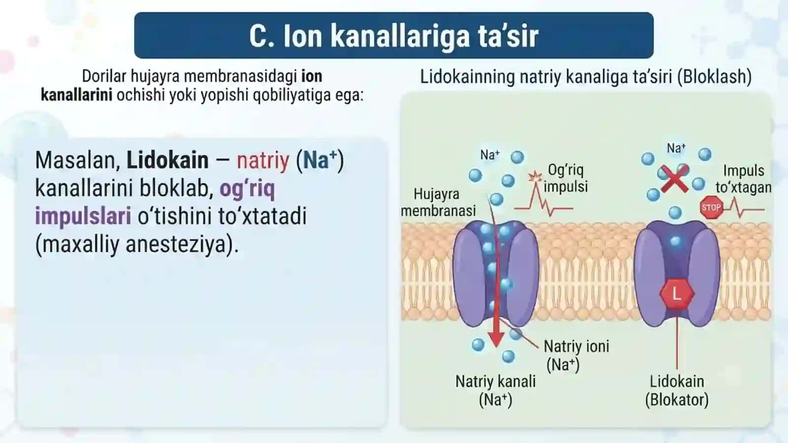 Dorilarning ta'sir mexanizmlari 3