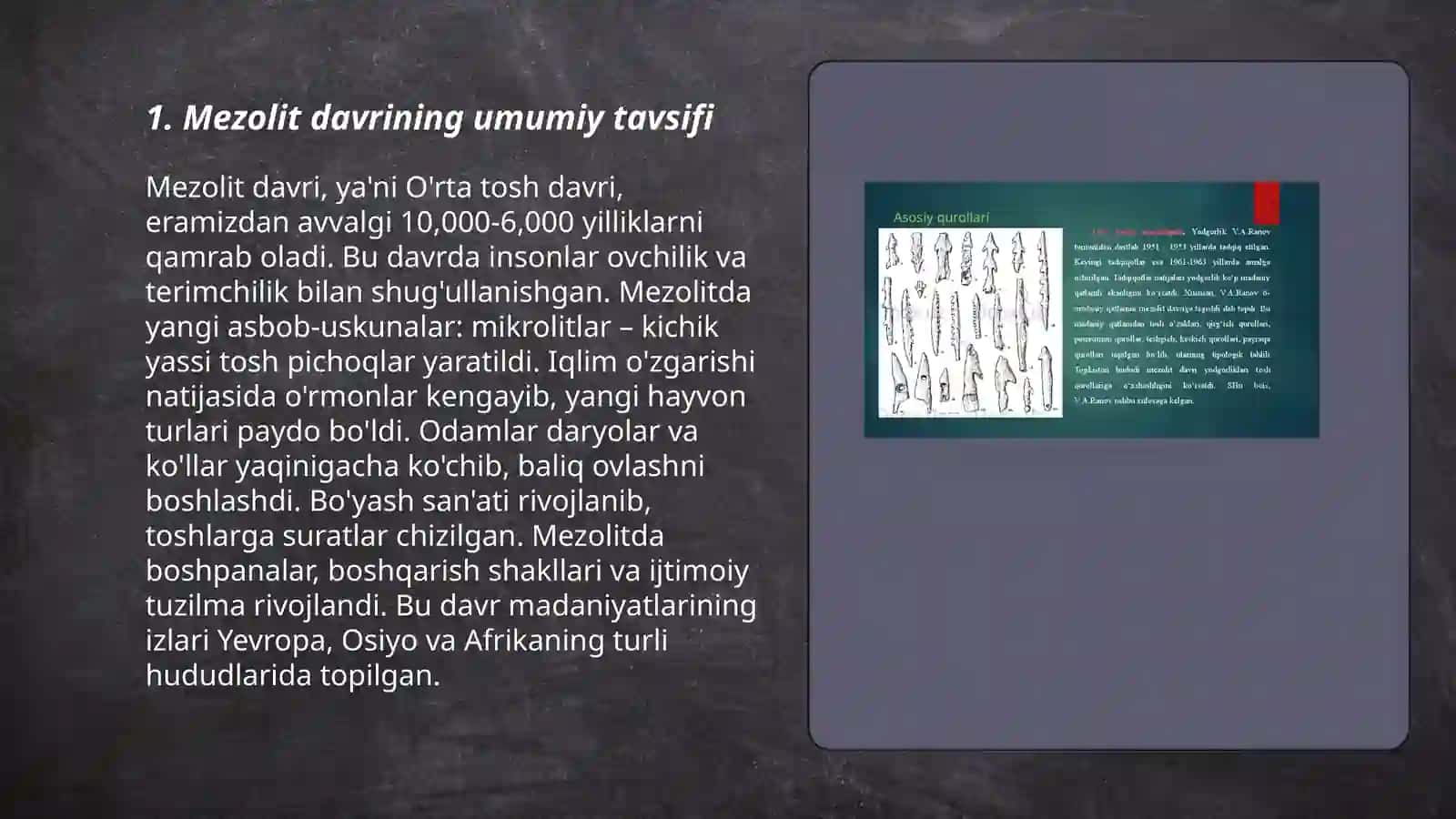 Mezolit davri 3
