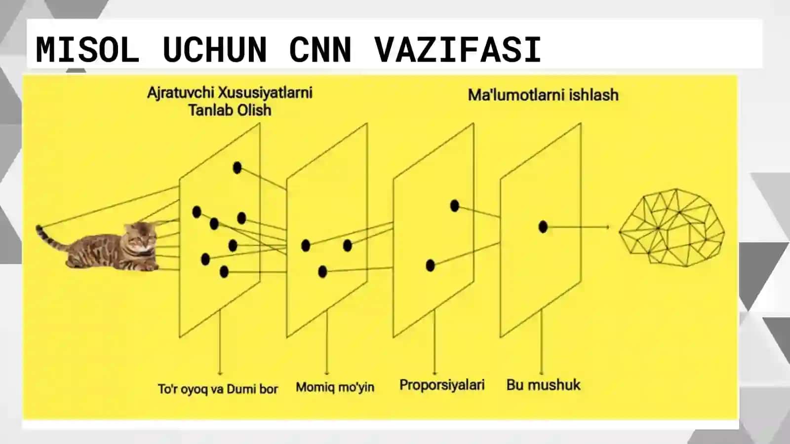 CNN ,Konvolyutsiyalangan Neyron Tarmoq,COnvolution Neural Network Taqdimoti 3