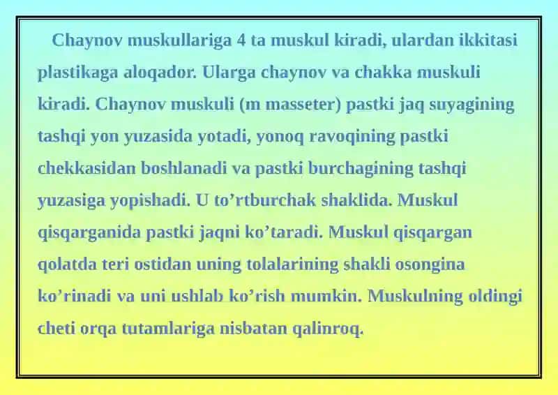 BOSH MUSKULLARI 3
