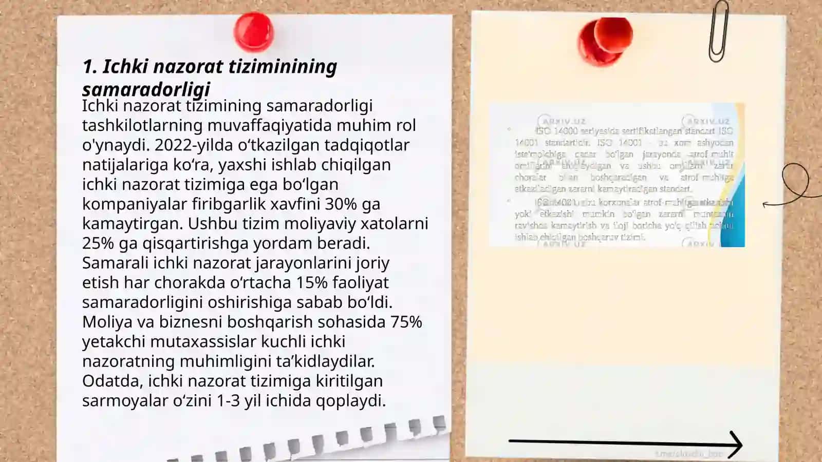Ichki nazorat tizimi 3