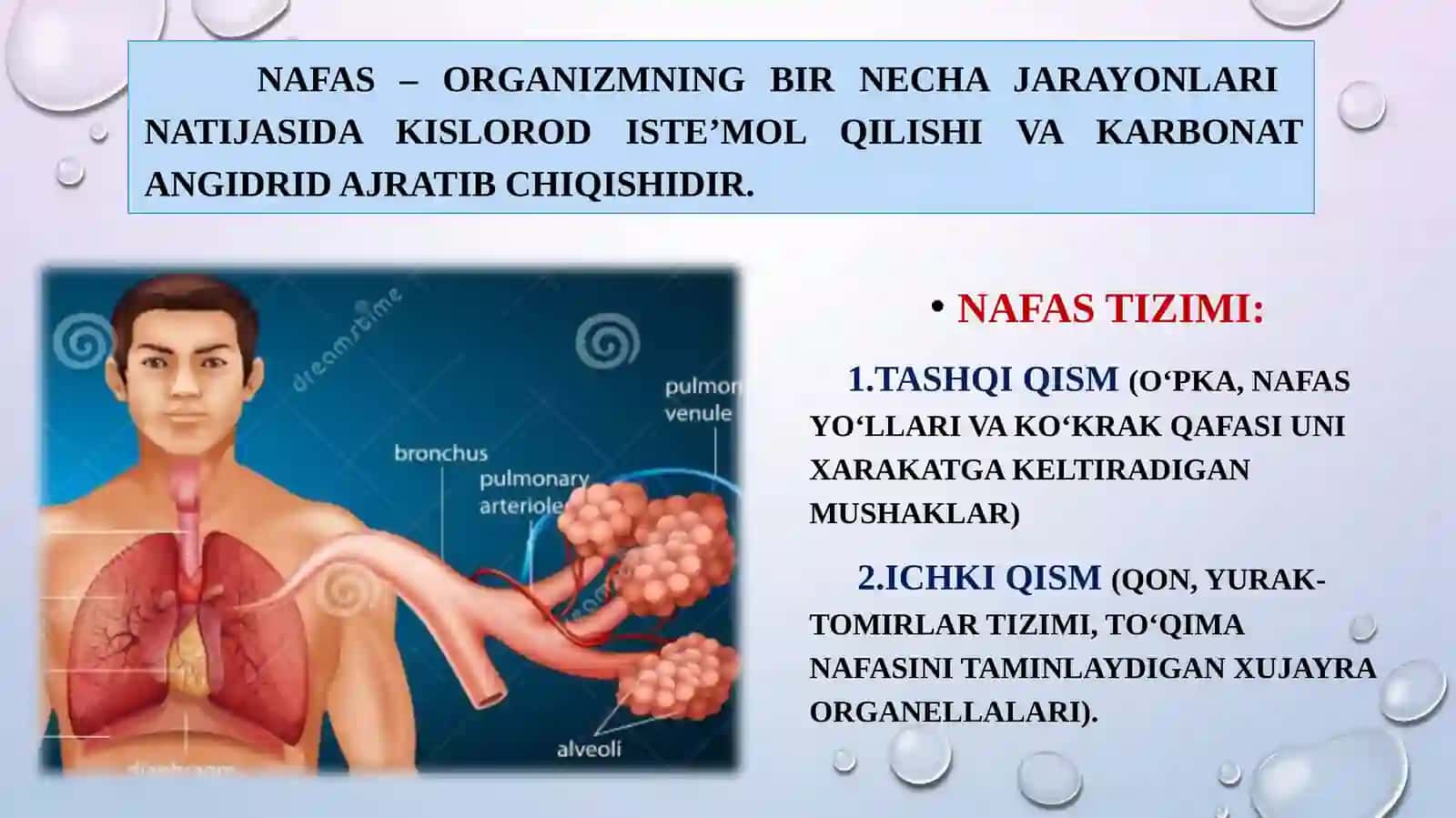NAFASFIZIOLOGIYASI. NAFAS TIZIMI FUNKSIYALARI. NAFAS OLISH VA CHIQARISH BIOMEXANIKASI. PLEVRA BO’SHLIG’IDAGI BOSIM. O’PKADA GAZLAR ALMASHINUVI! 3