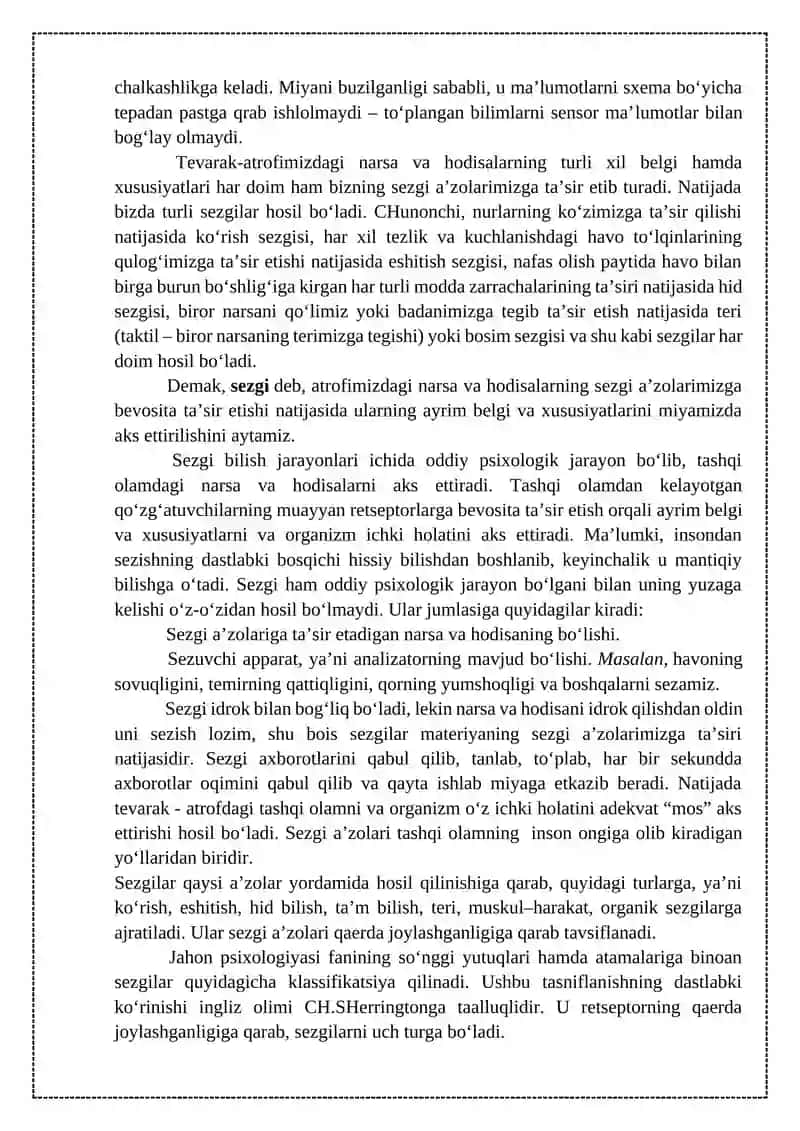 Sezgi 3