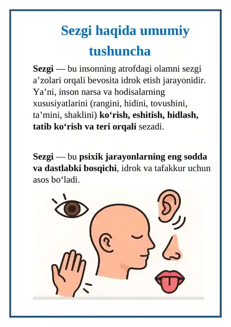 Sezgi 3