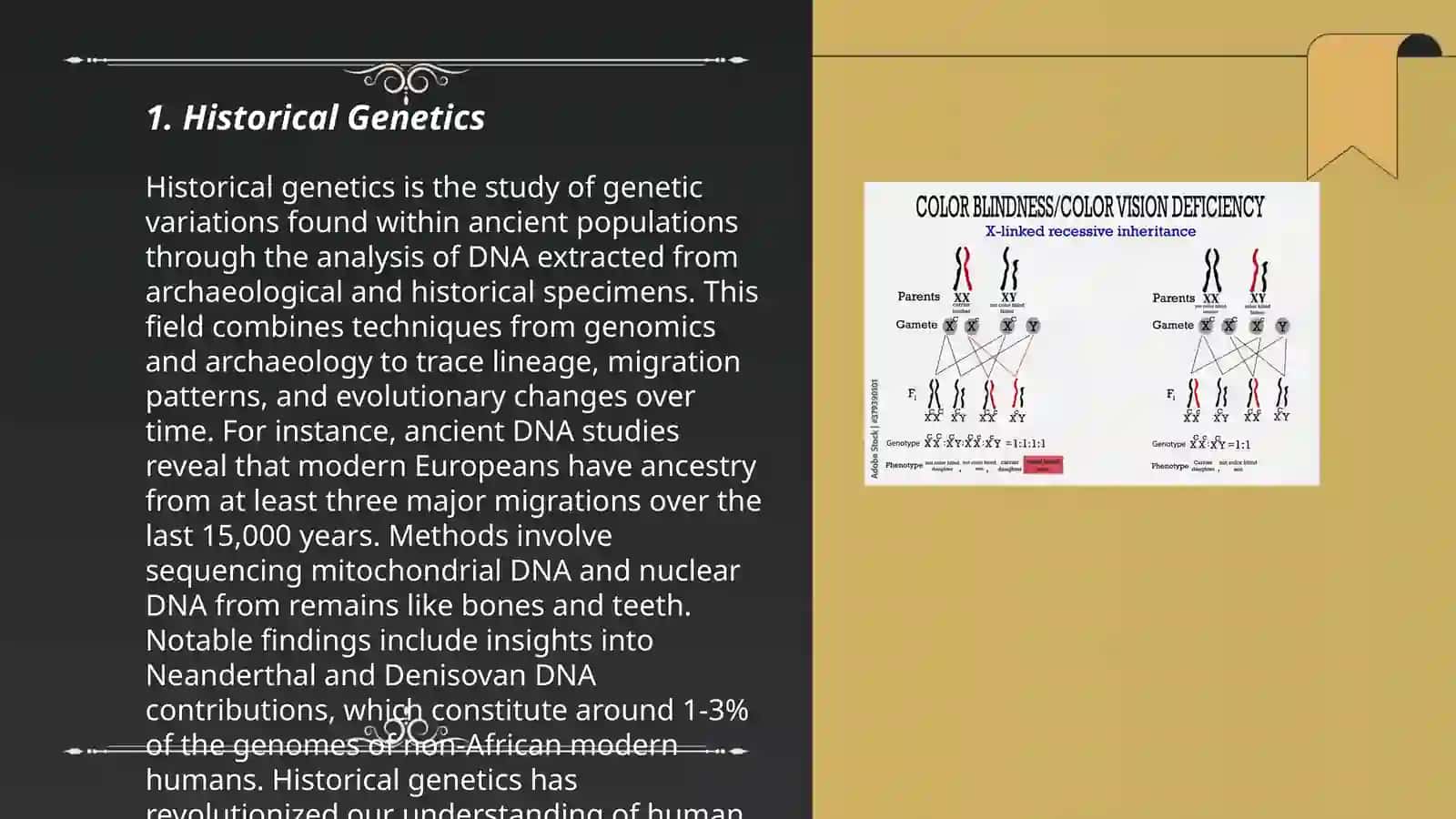 Genetic and geneological typology 3