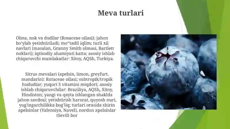 Meva turlari 3
