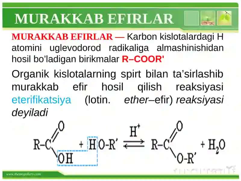 Murakkab efirlar va yog`lar 3