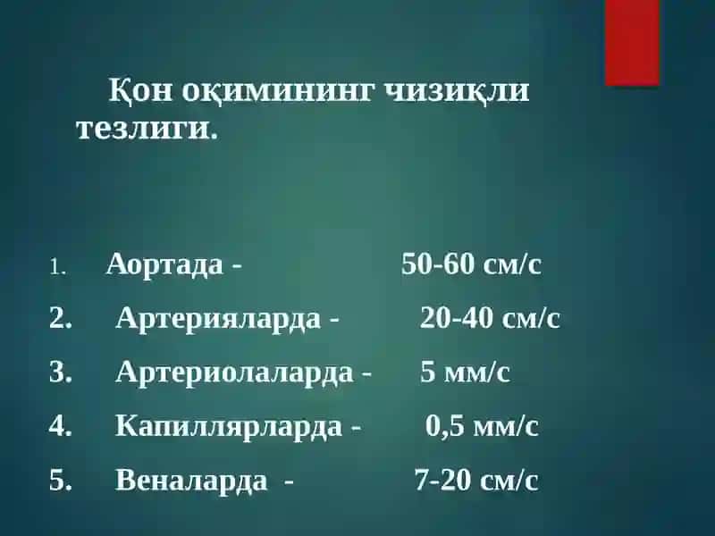 Гемодинамика асослари 3